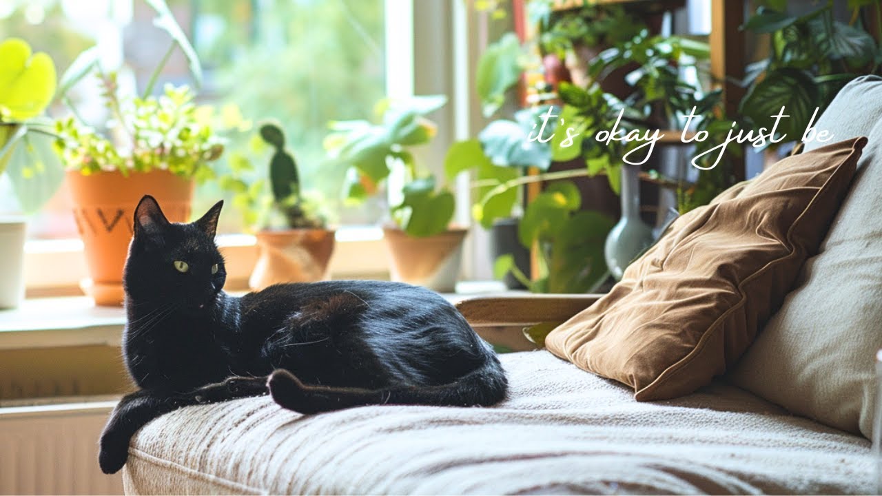 it’s okay to just be | soft piano for relaxation