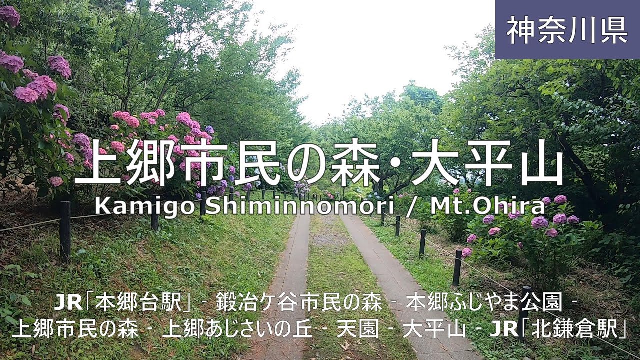 【上郷市民の森・大平山】ハイキング Kamigo Shiminnomori / Mt.Ohira