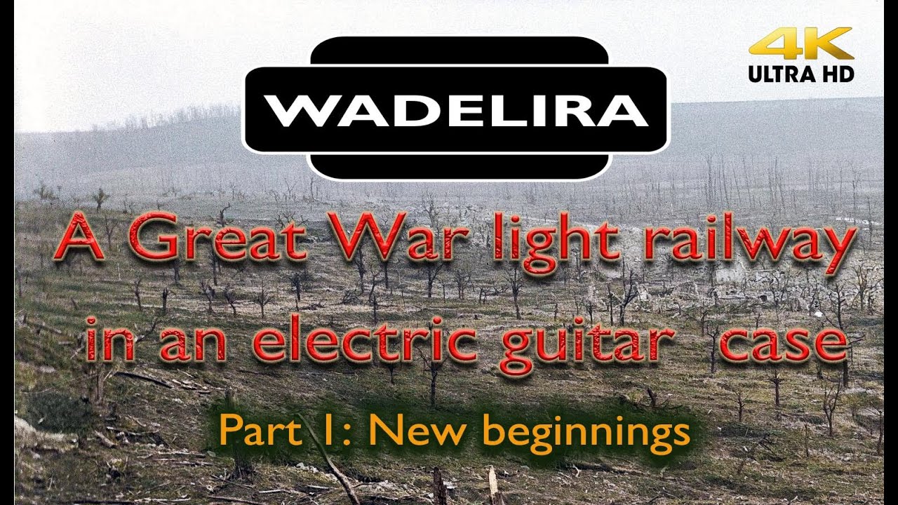 Железнодорожная линия WADELIRA Light Railway в чехле для электрогитары
