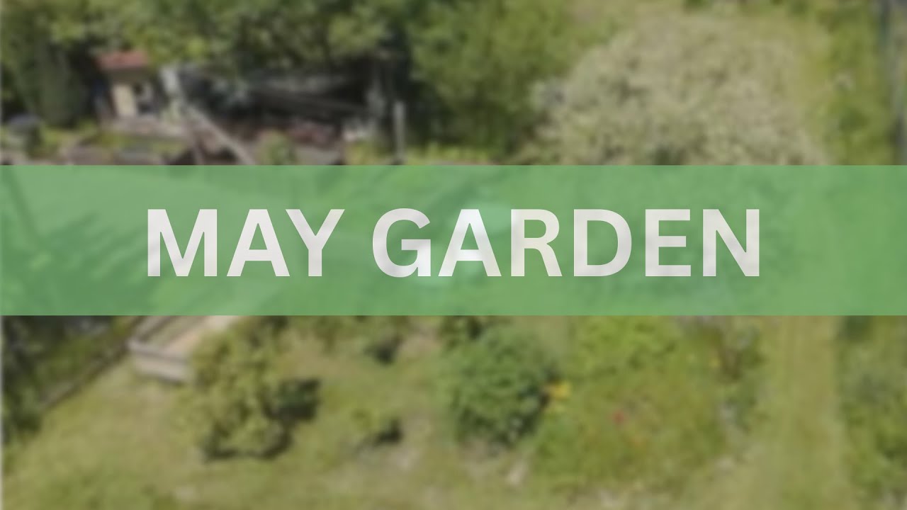 May Garden - Despite major flooding last year, the garden is blooming again.