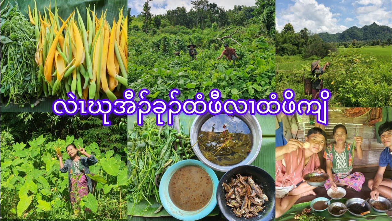 Finding fresh vegetables လဲၤဃုအီၣ်ခုၣ်ထံဖီ