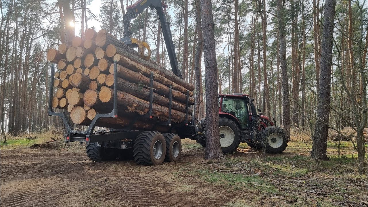 Sedlmayer Rückewagen RW HS 19 mit Mesera F71 Valtra N134 Sturmholz auf den Spuren des Harvesters