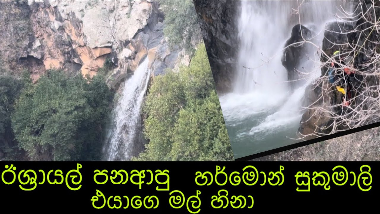 9 February 2026ඊශ්‍රායල් හර්මොන් සුකුමාලි