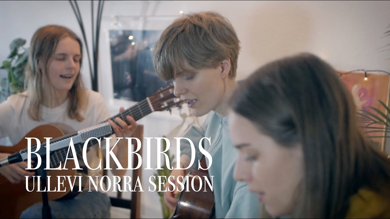 Paperwing - Blackbirds session