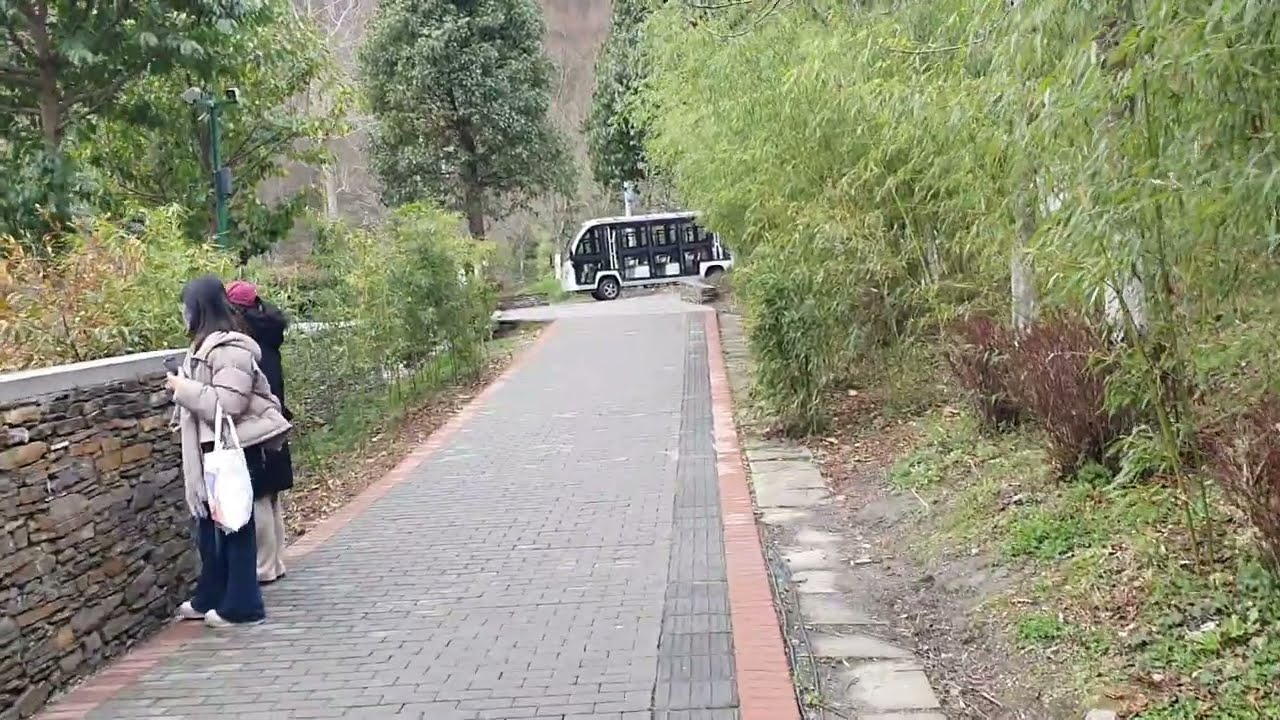 🇰🇷26,3,19,ㅡ한국이모의  쓴  소리