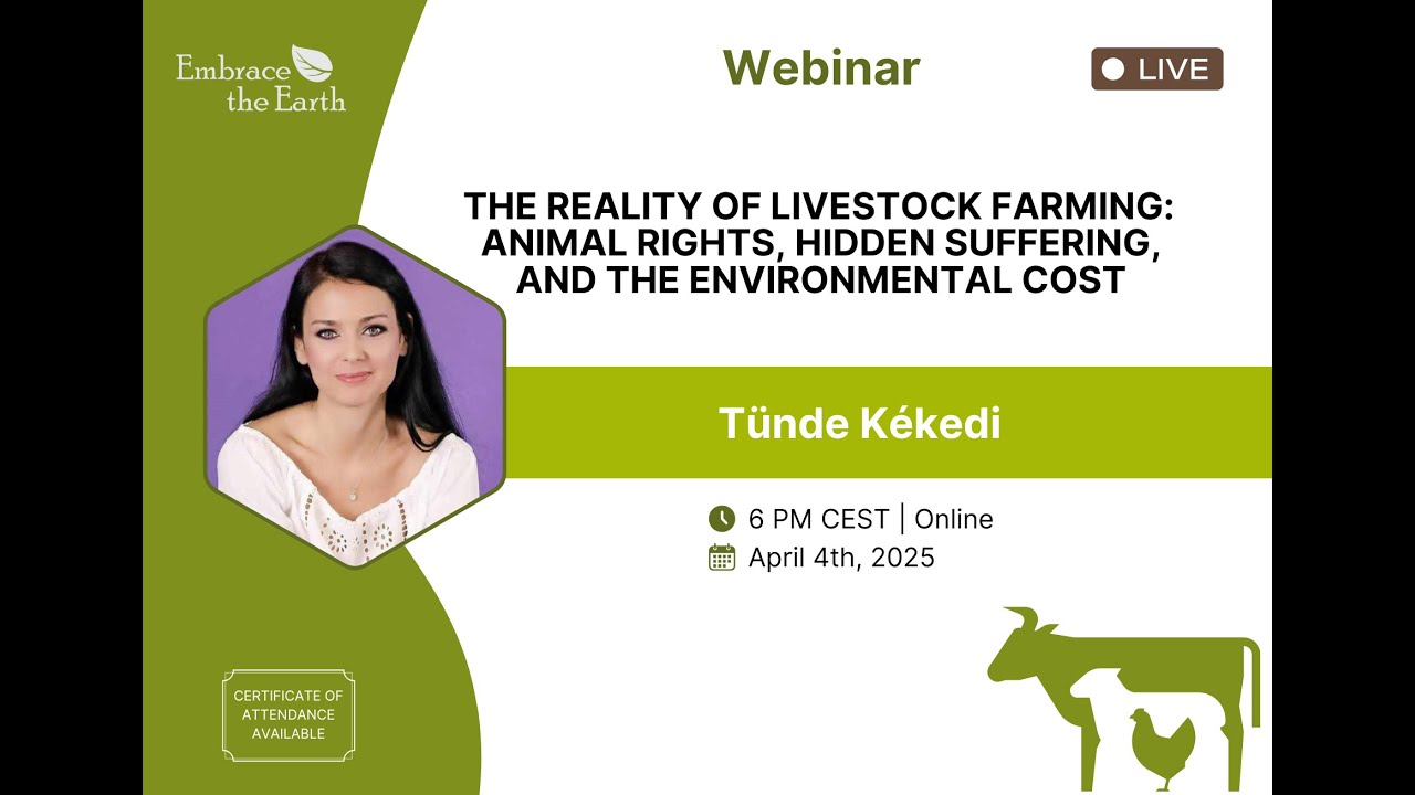 The Reality of Livestock Farming: Animal Rights, Hidden Suffering, and the Environmental Cost