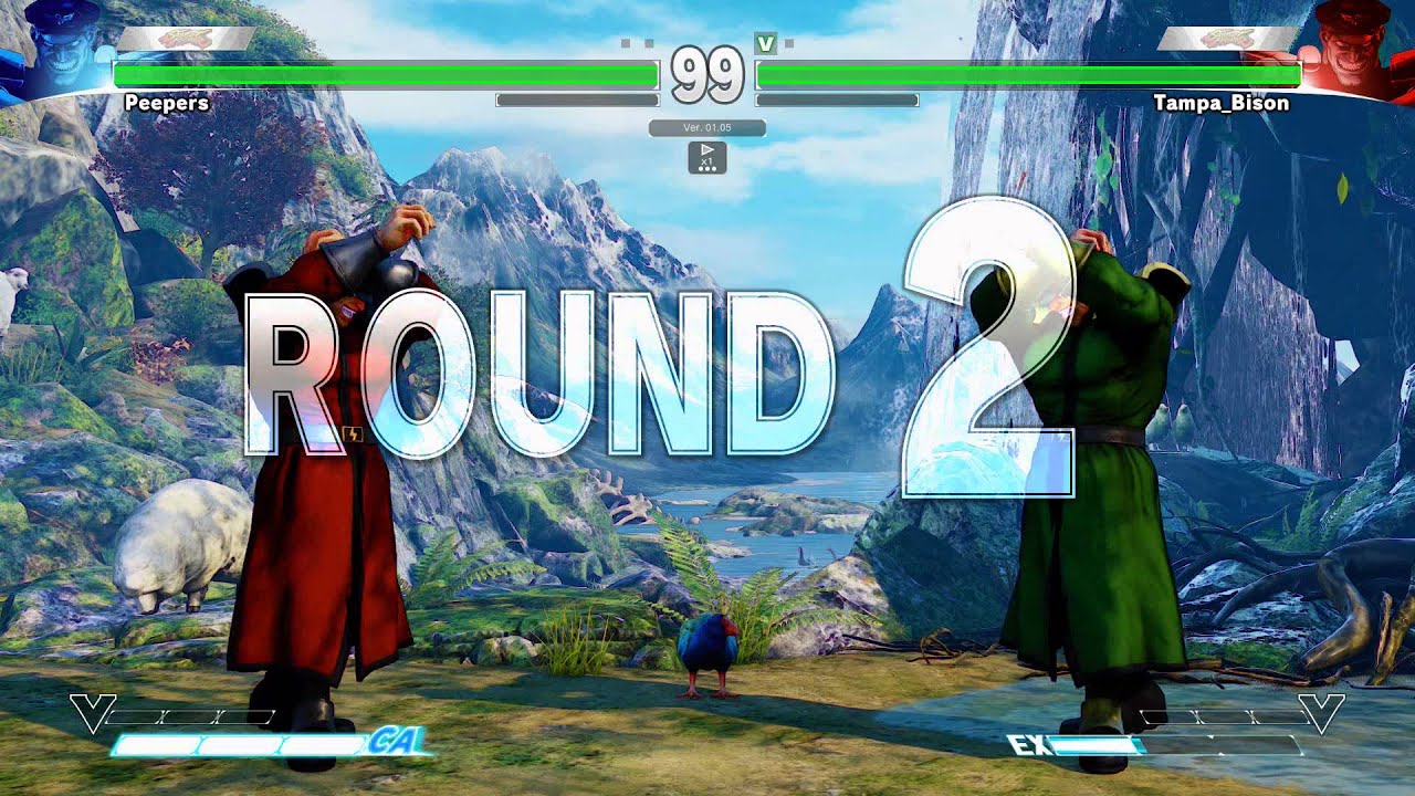 SFV~ M.Bison (Tampa Bison) vs   M.Bison (Peepers) HD
