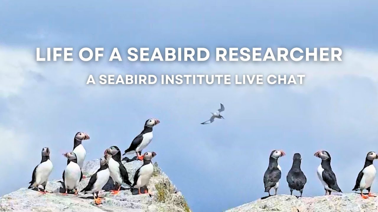 Life of a Seabird Researcher | Explore Live Events