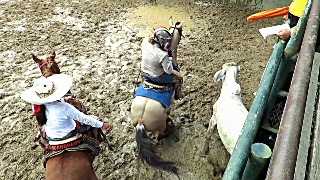 III MUNDIAL DE COLEO FEMENINO