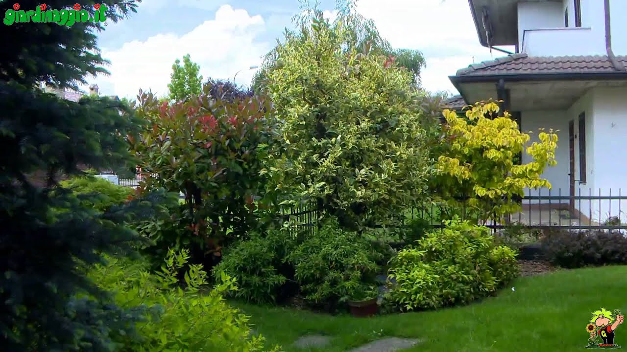 Come valutare il giardino: planimetrie e sviluppo