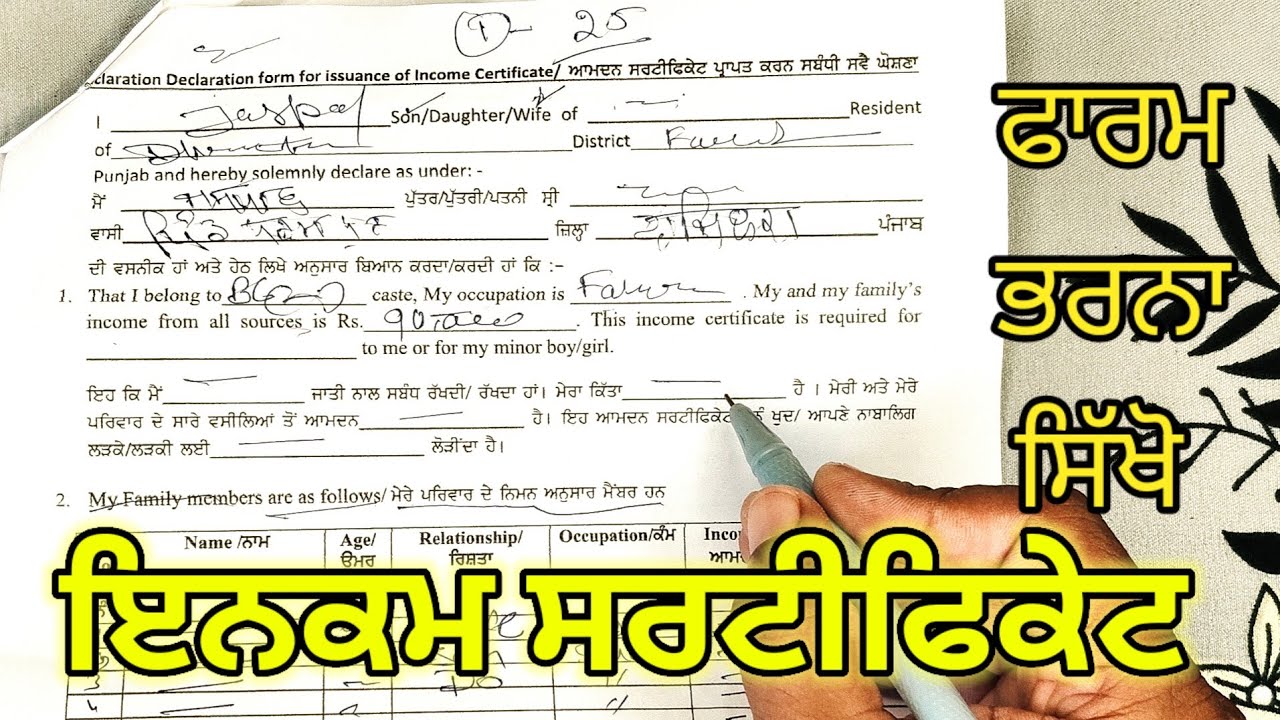 How to fill Income certificate | ਆਮਦਨ ਸਰਟੀਫਿਕੇਟ ਕਿਵੇਂ ਭਰੇ | #income #incomecertificate