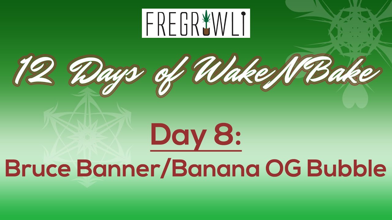8th Day of WakeNBake - Bruce Banner/Banana OG Full Melt