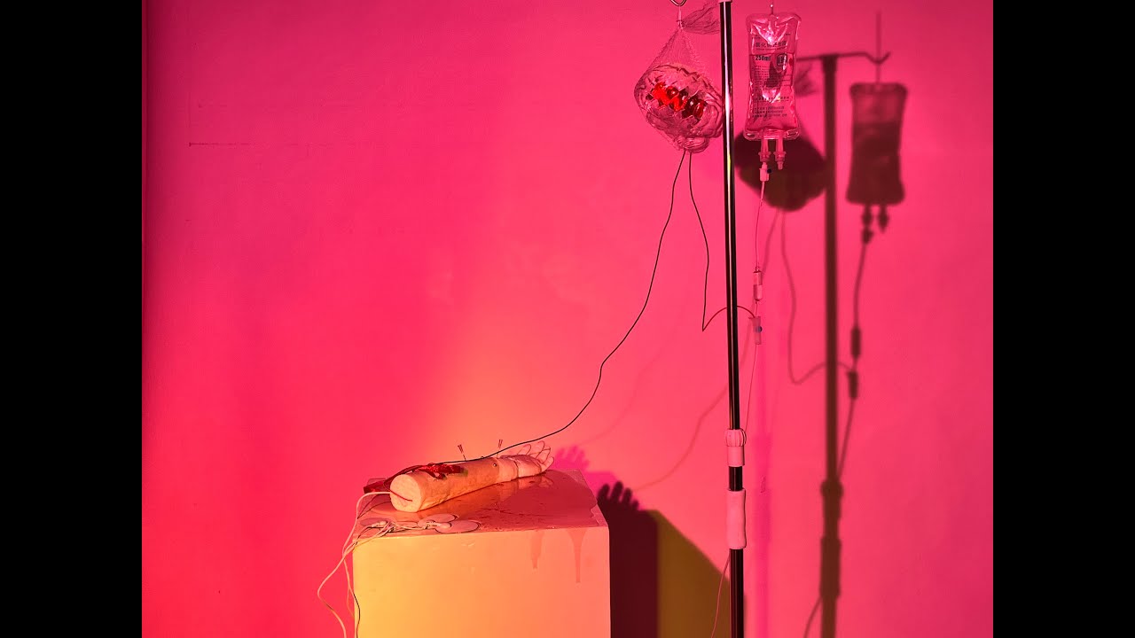 EXPERIMENTAL VIDEO OF INSTALLATION ART