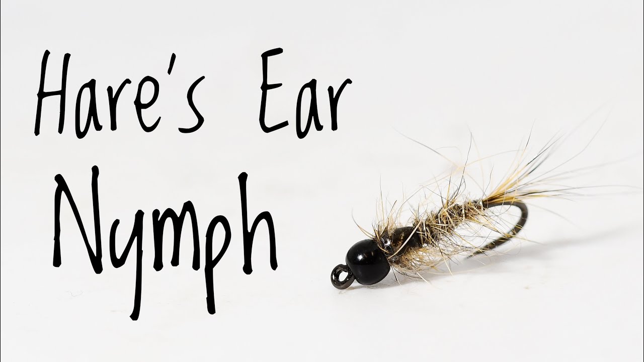 Hare's Ear Nymph - The BEST Nymph in the World