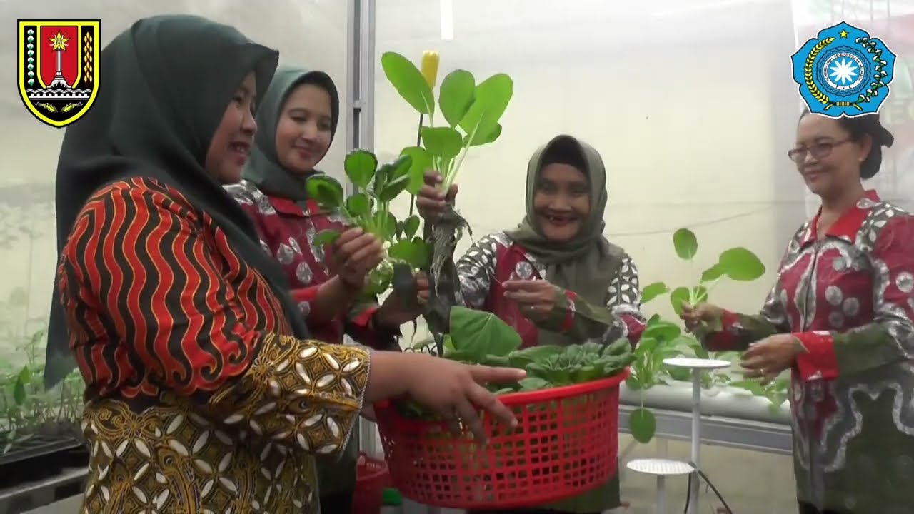URBAN FARMING CHAMPION TP.PKK KECAMATAN NGALIYAN KOTA SEMARANG TAHUN 2024