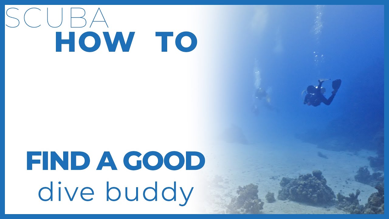 Dive Buddy 101 &ndash; How to Find and Be a Great Scuba Partner