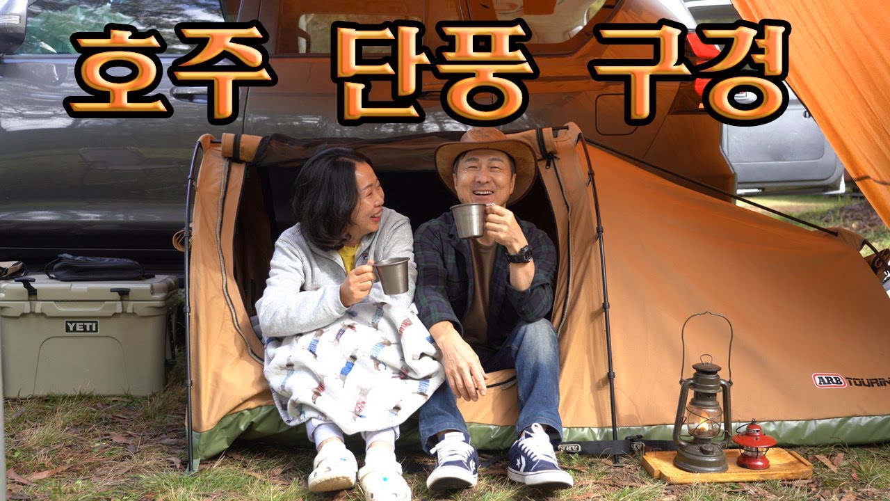 [ASMR] ARB SWAG & NSW Tenterfield Camping