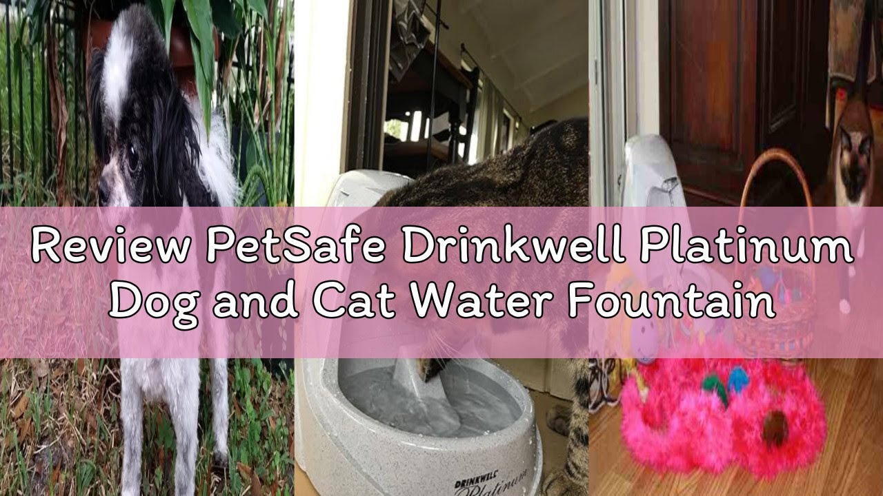 Review PetSafe Drinkwell Platinum Dog and Cat Water Fountain, Automatic Drinking Fountain for Pets,