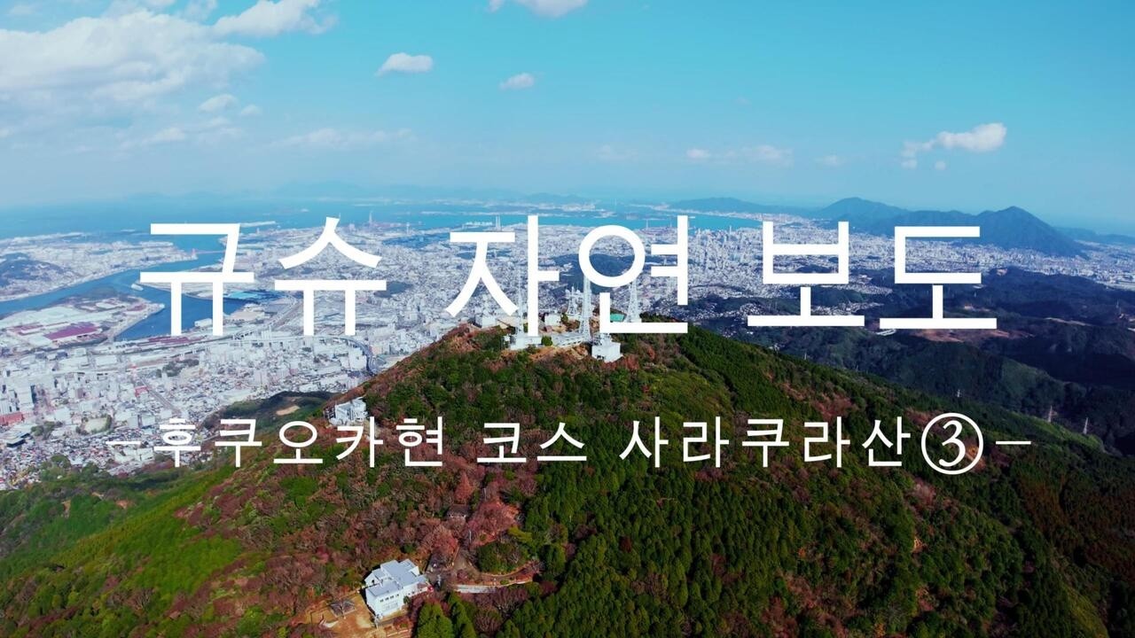 규슈 자연보도 후쿠오카현 사라쿠라산 코스③