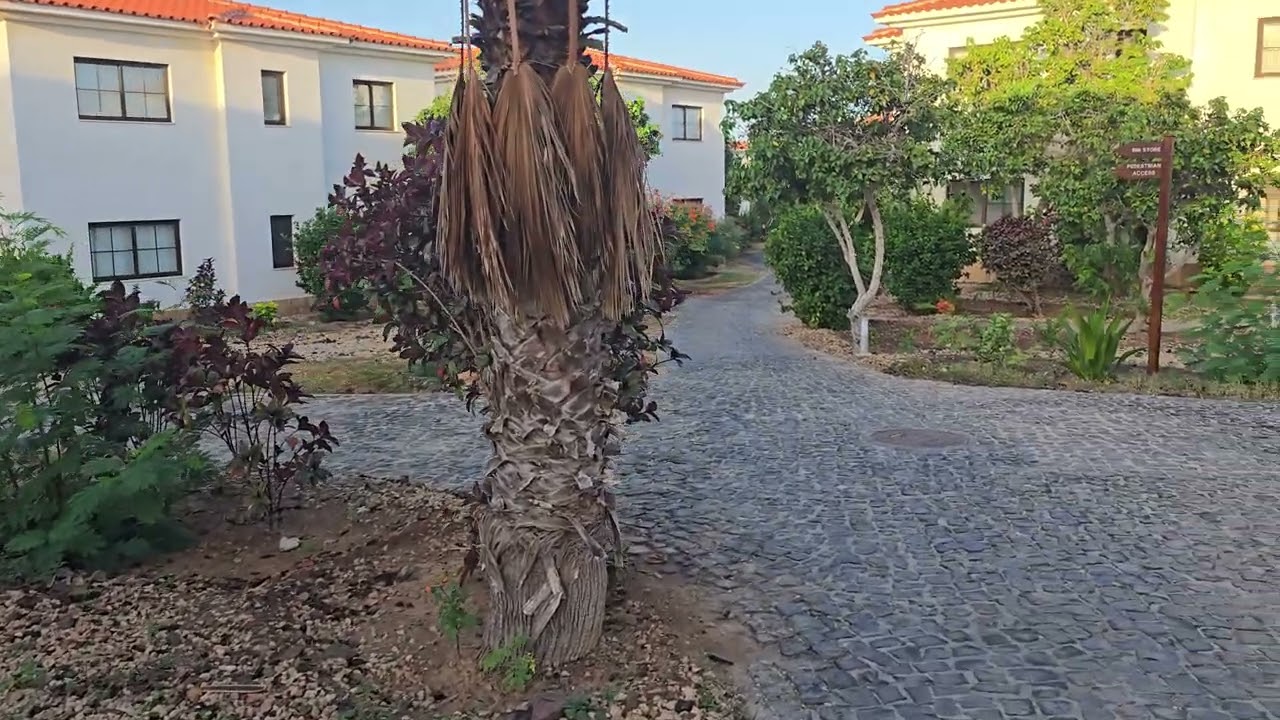 Cape Verde Melia Tortuga walk through #dailyvlogs