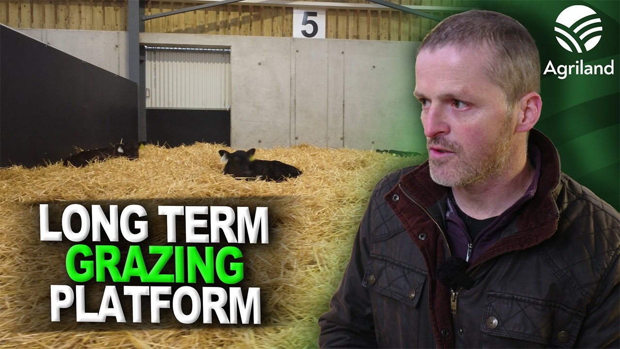 UCD's Long Term Grazing Platform Study