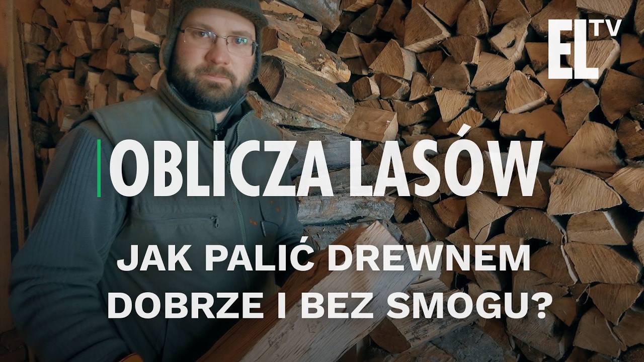 Jak palić drewnem dobrze i bez smogu? | Oblicza lasów #10
