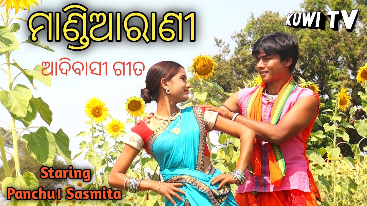Mandiarani New Kuwi Song Video । Panchu। Sasmita। Rayagada Culture Song । Kuwi TV