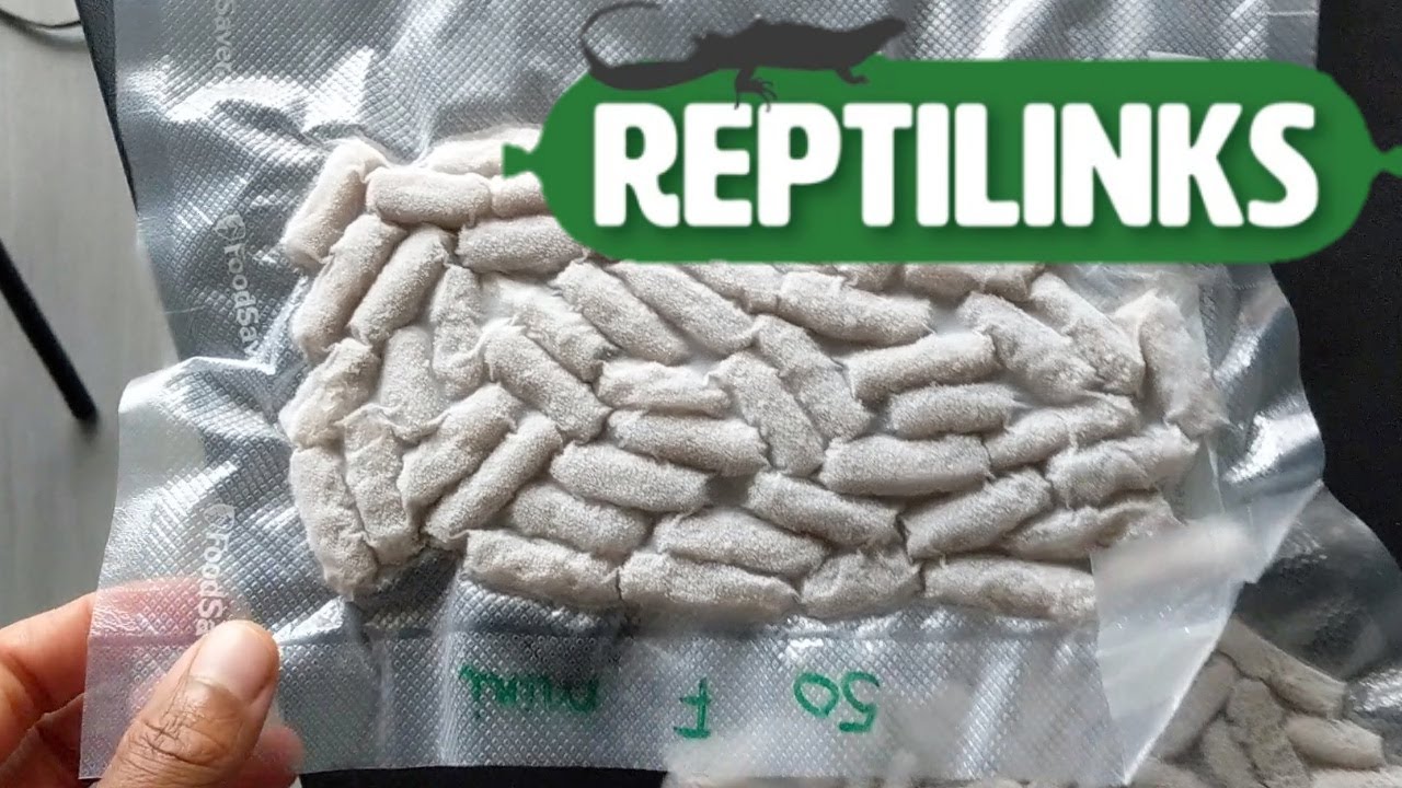 Распаковываю Reptilinks и кормлю ими своих детенышей Hognoses