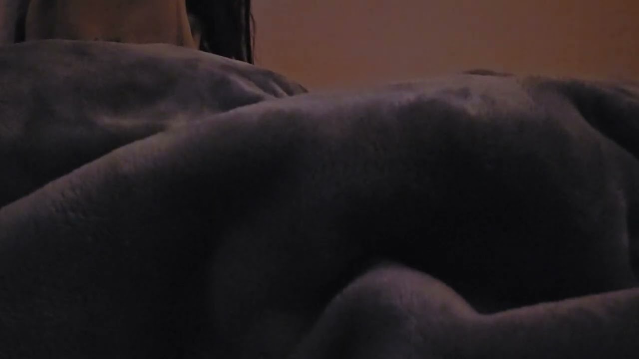 Day Day Meditate #186 - 20260305am
