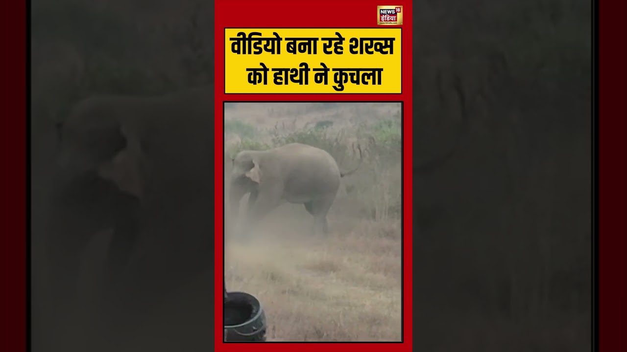 वीडियो बना रहे शख्स को हाथी ने कुचला | #jharkhandnews #viralvideo #news18indianumber1