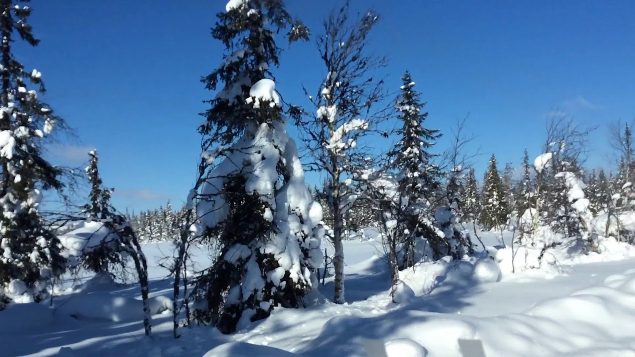 Vinterväg i Vilhelmina, ice road logging Norra Skogsägarna, Hanssons Åkeri AB