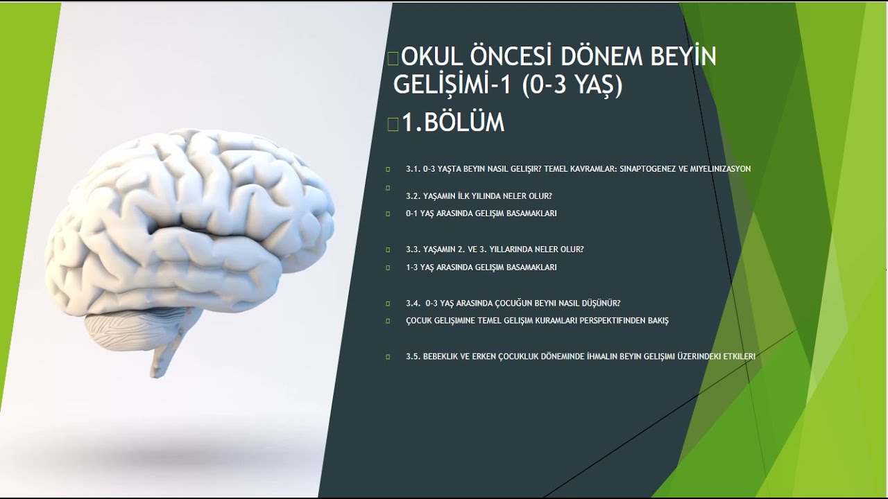 AUZEF Çocuk Gelişimi (4.Sınıf) 2. Dönem Çocuklukta BeyinGelişimi 3.Ünit Okul Öncesi Beyin Gelişimi 1