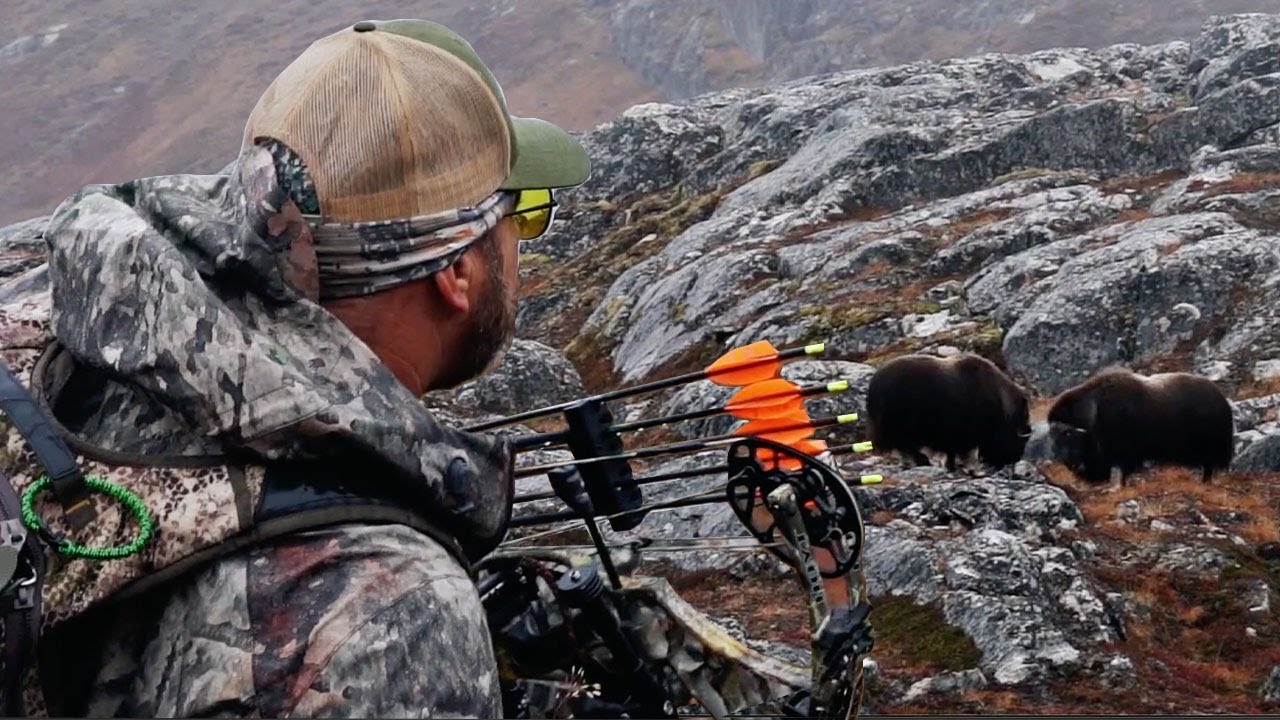 Bowhunting Musk Ox in Greenland - 7 year dream hunt | Pure Hunting S9 E10