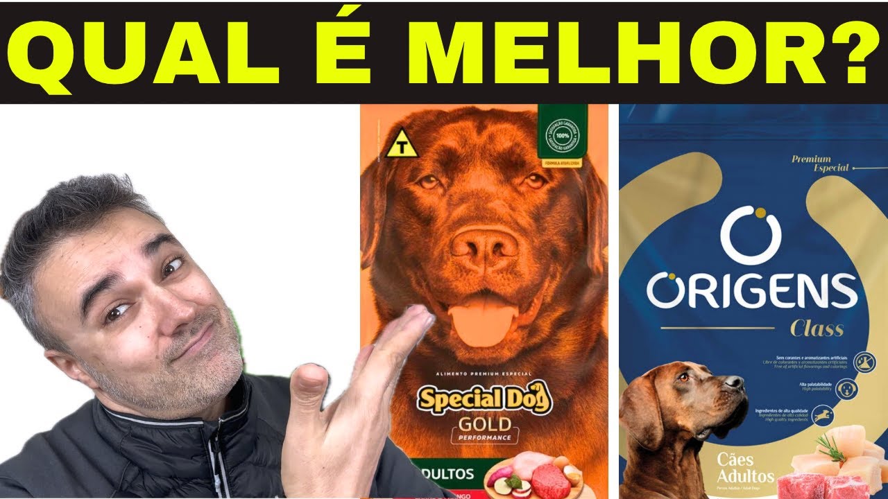 SPECIAL DOG PERFORMANCE vs ORIGENS CLASS 👉Qual é melhor?