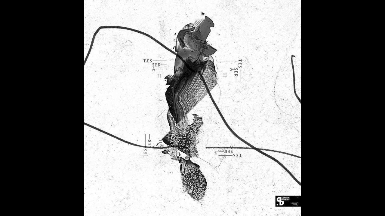 Paul St. Hilaire & Rhauder - Not Saying Much (Sushitech Records)