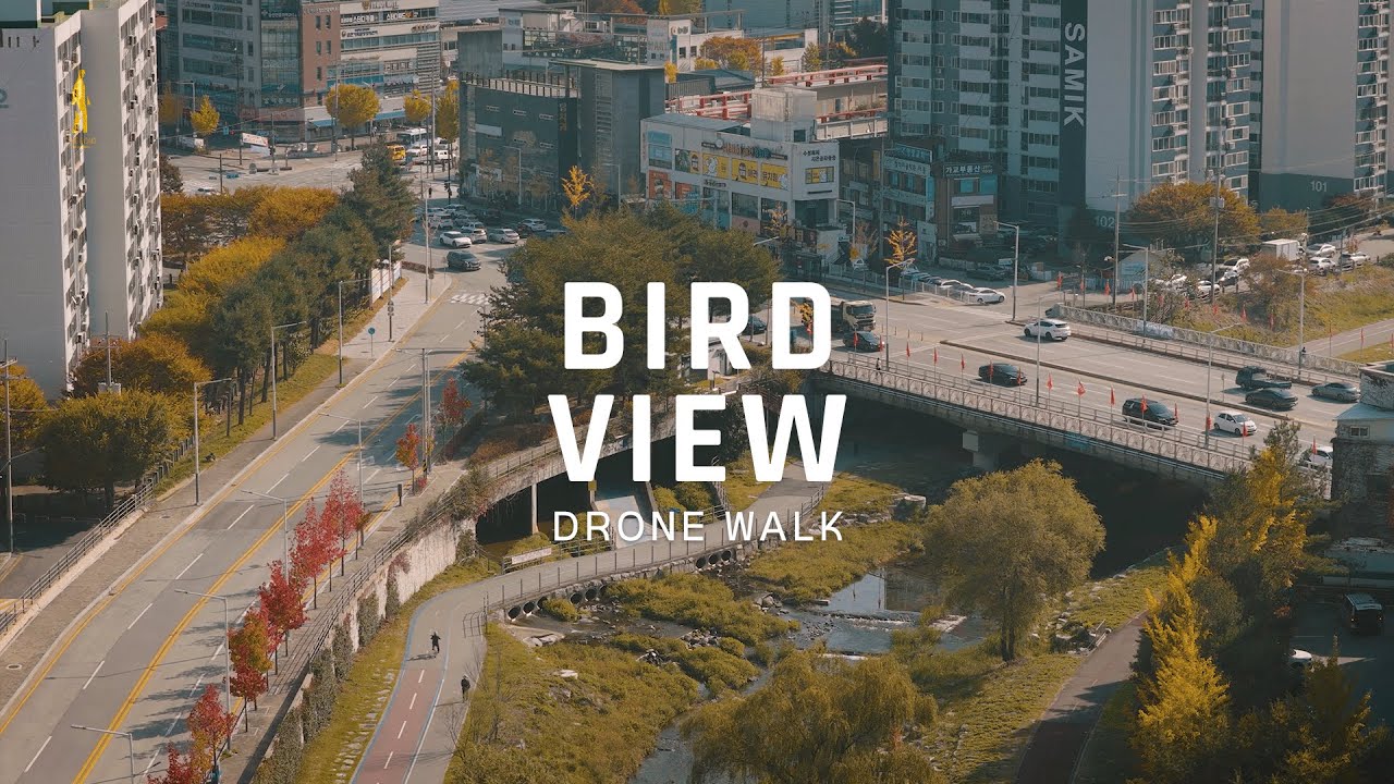 Спокойный момент над городским парком | Тёплая атмосфера | Korea Drone Walk
