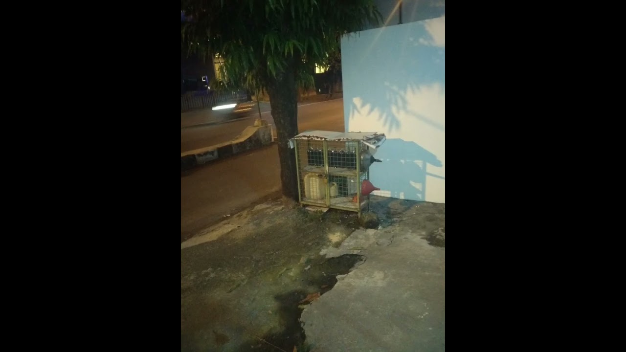 JUAL BENSIN PERTAMAX DI JAJAR RT01/05 KULON HOTEL ALILA JAJAR