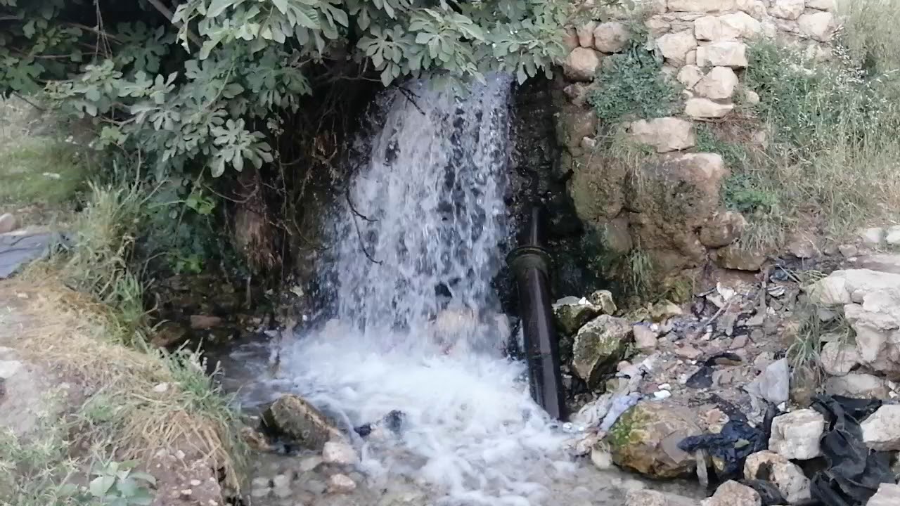 نهر عين منين في ريف دمشق والطبيعة  الخلابة في يوم ربيعي ولا أحلى استمتعوا  بصوت الماء وحفيف الشجر 😍