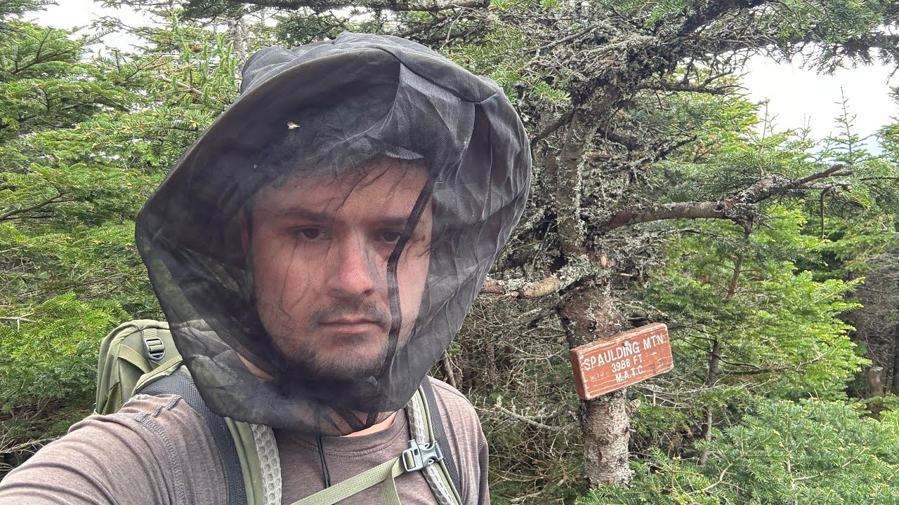 I Climbed A Bug Infested Mountain With No Views Because I Am Obsessed (Mount Spaulding, ME)