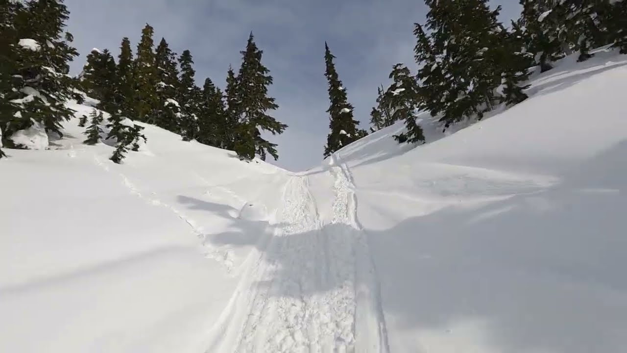 Bluebird Day