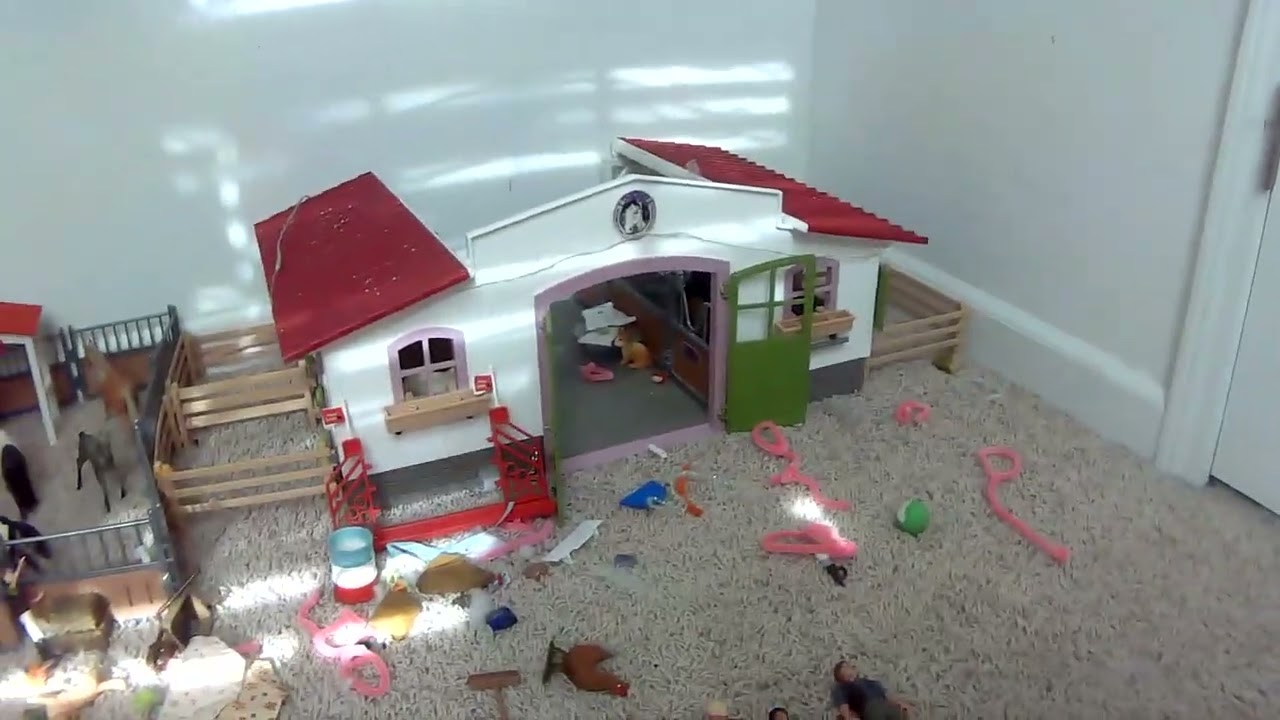 Common mistakes to avoid with your Schleich PART 2