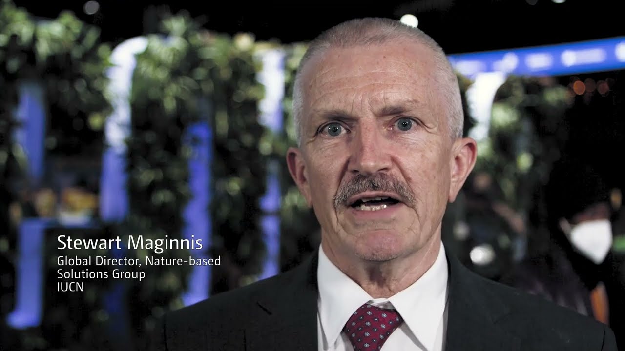 What is the Marrakesh Partnership? | UN Climate Change