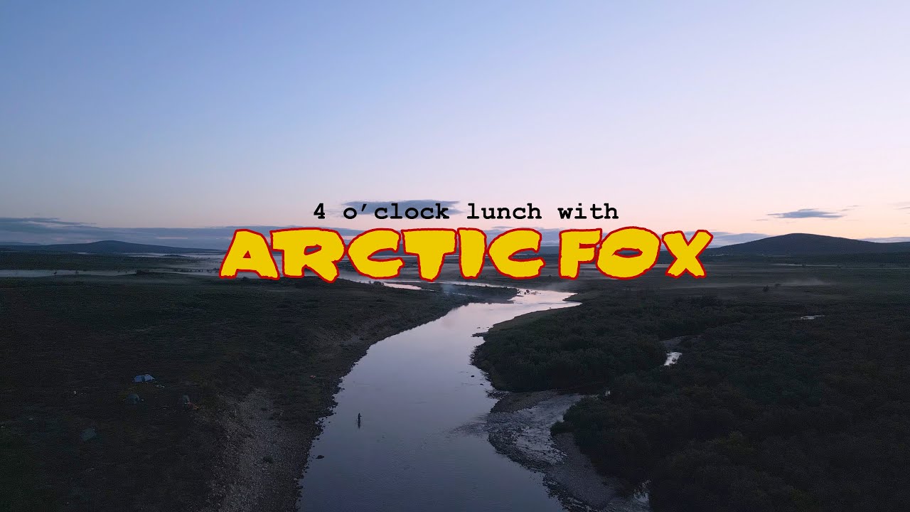 4 o'clock lunch with Arctic fox - Eng Subs -