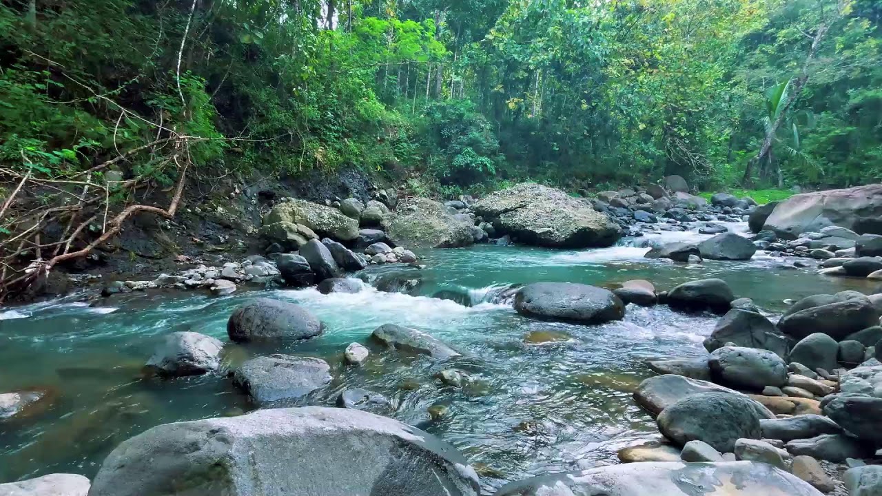 Gentle River Sounds for Sleeping, River Sounds for relaxation, Water Sounds for stress relief