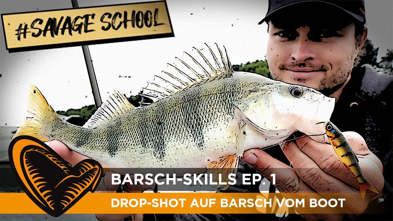SAVAGE SCHOOL: DROP SHOT AUF BARSCH VOM BOOT I Drop Shot Rigs, Montagen & Köder für das Barschangeln