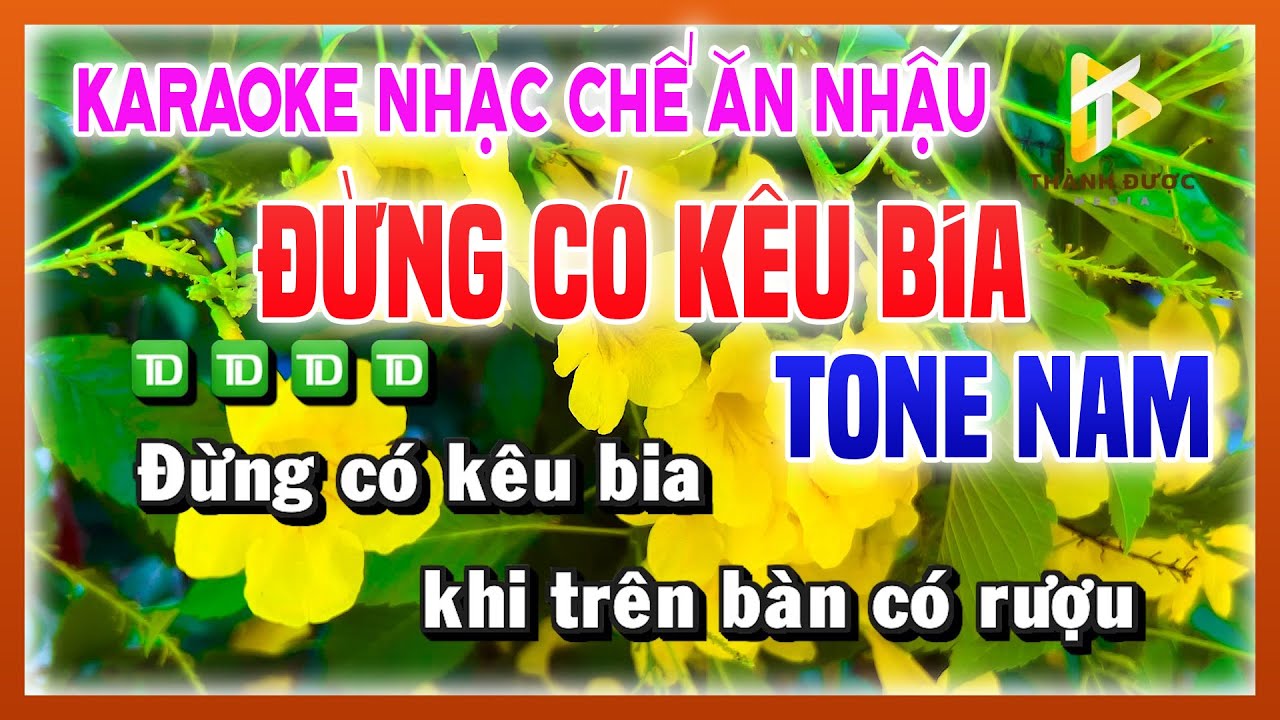 Karaoke ĐỪNG CÓ KÊU BIA - Nhạc Chế Ăn Nhậu TONE NAM