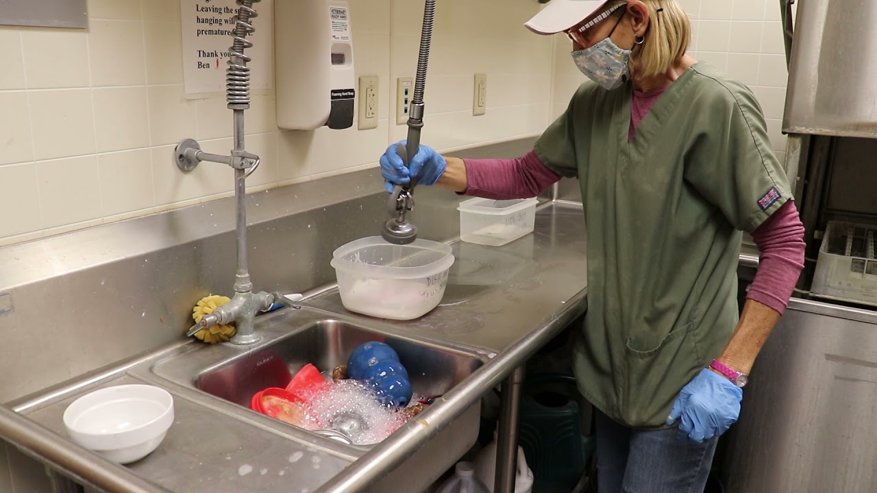 Laundry & Dishes with Tami McConnell | SCCAS Volunteer Training Series