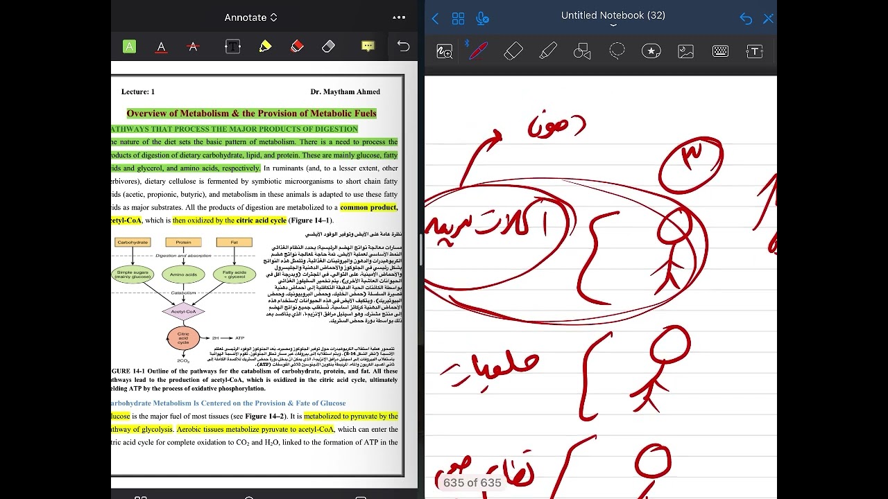 مرتضى الراشد // البايوكمستري // المحاضره الاولى ج١ 