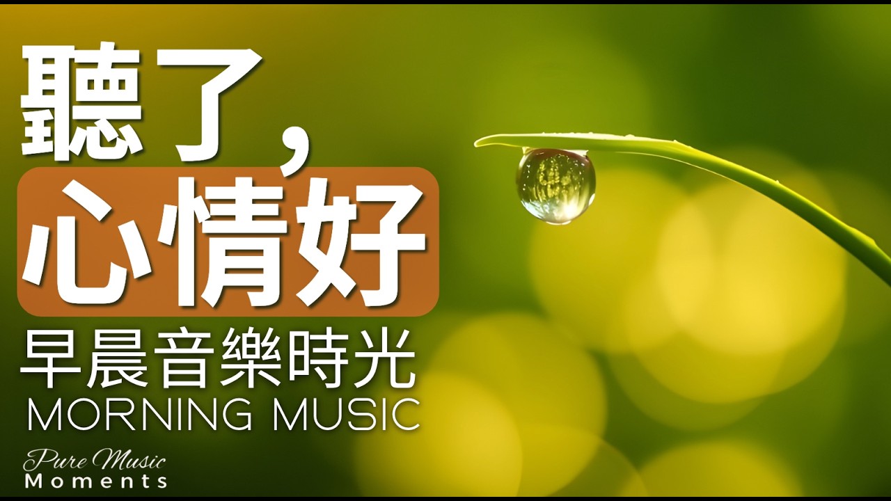 1小時早晨音樂｜🌤️在這樣的清晨裡：一點陽光，一點鋼琴｜鋼琴輕音樂｜放鬆・專注・讀書｜起床必聽的療癒背景音樂｜讓心情變好的早晨鋼琴音樂、居家辦公、深度學習、瑜珈冥想、開啟美好一天 #純音樂 #早晨音樂