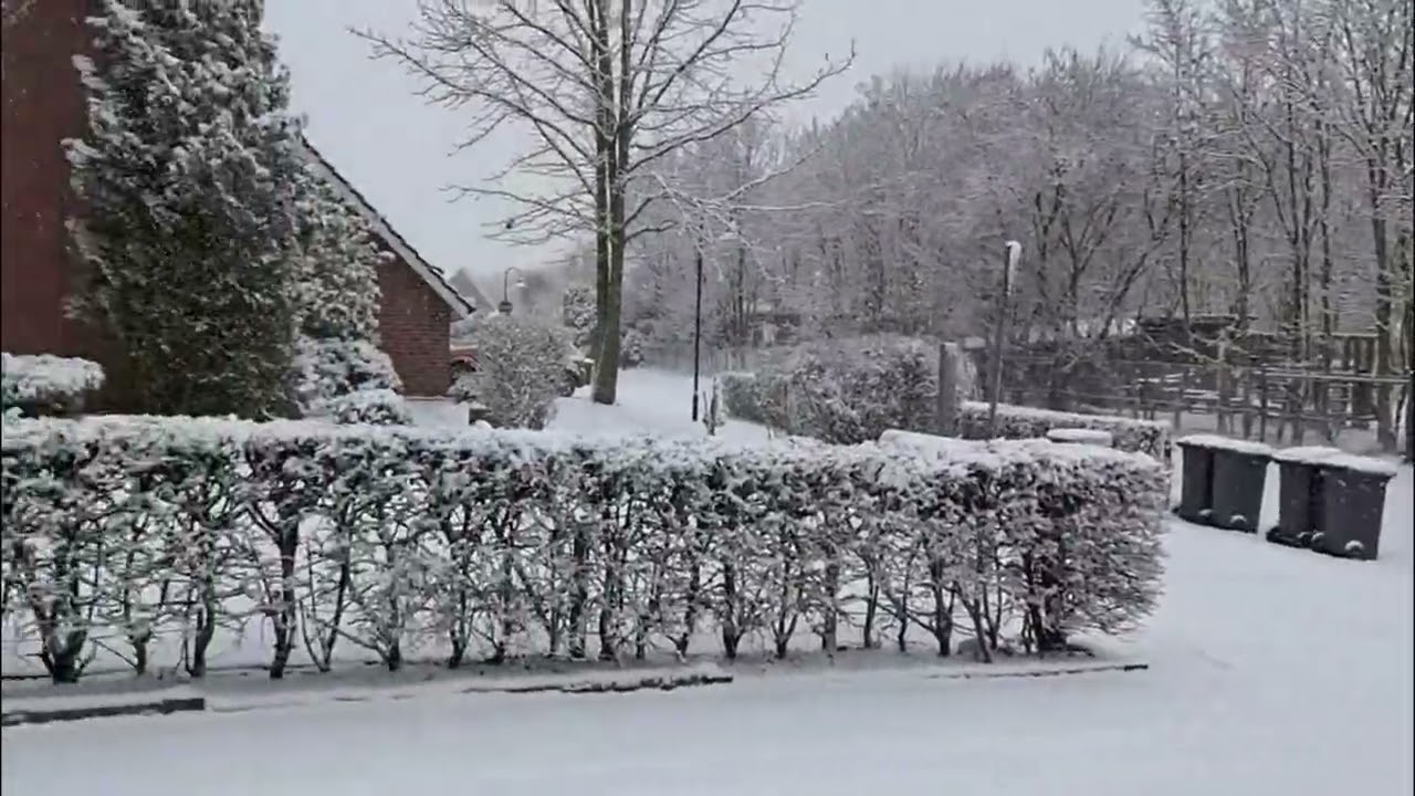Капризы погоды.🌨️❄️☃️⛄❄️